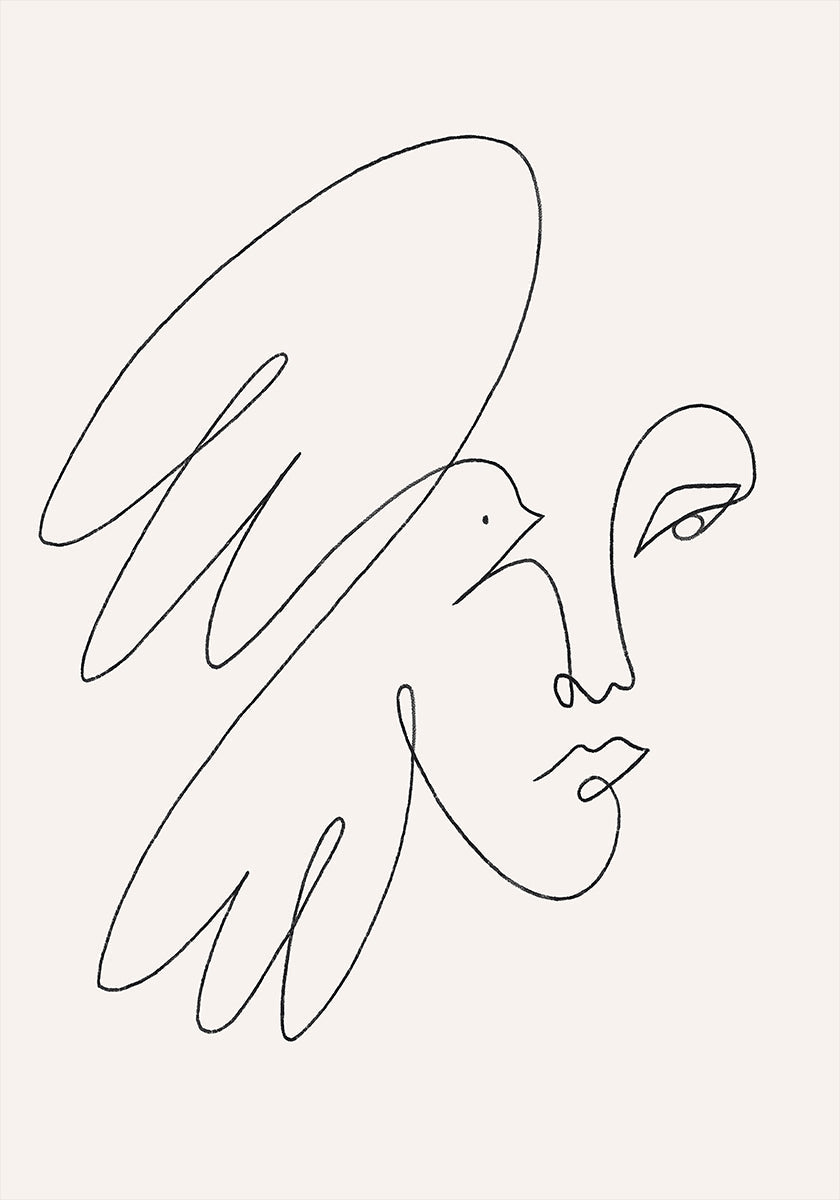 Duif