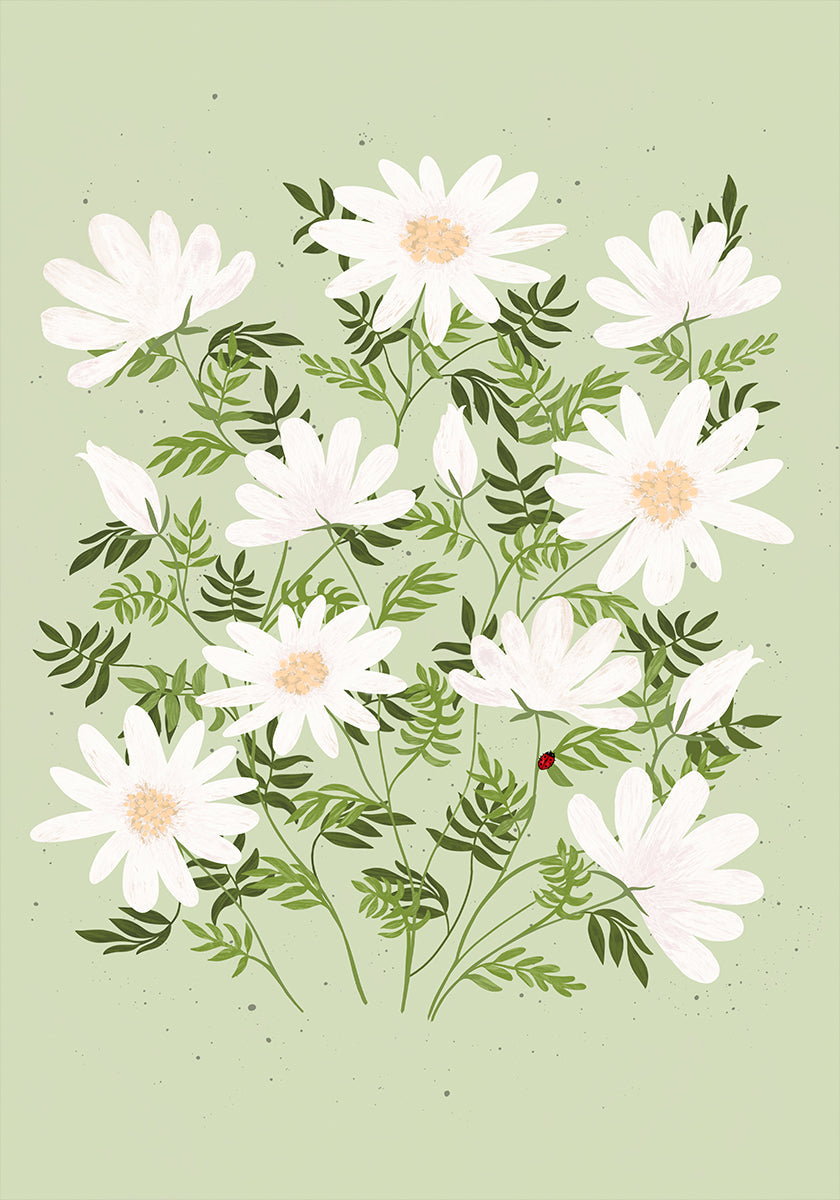 Lieveheersbeestje bloemen