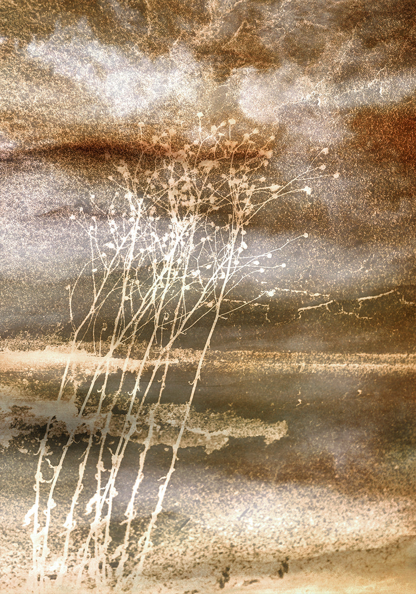 Gedroogde dromen poster