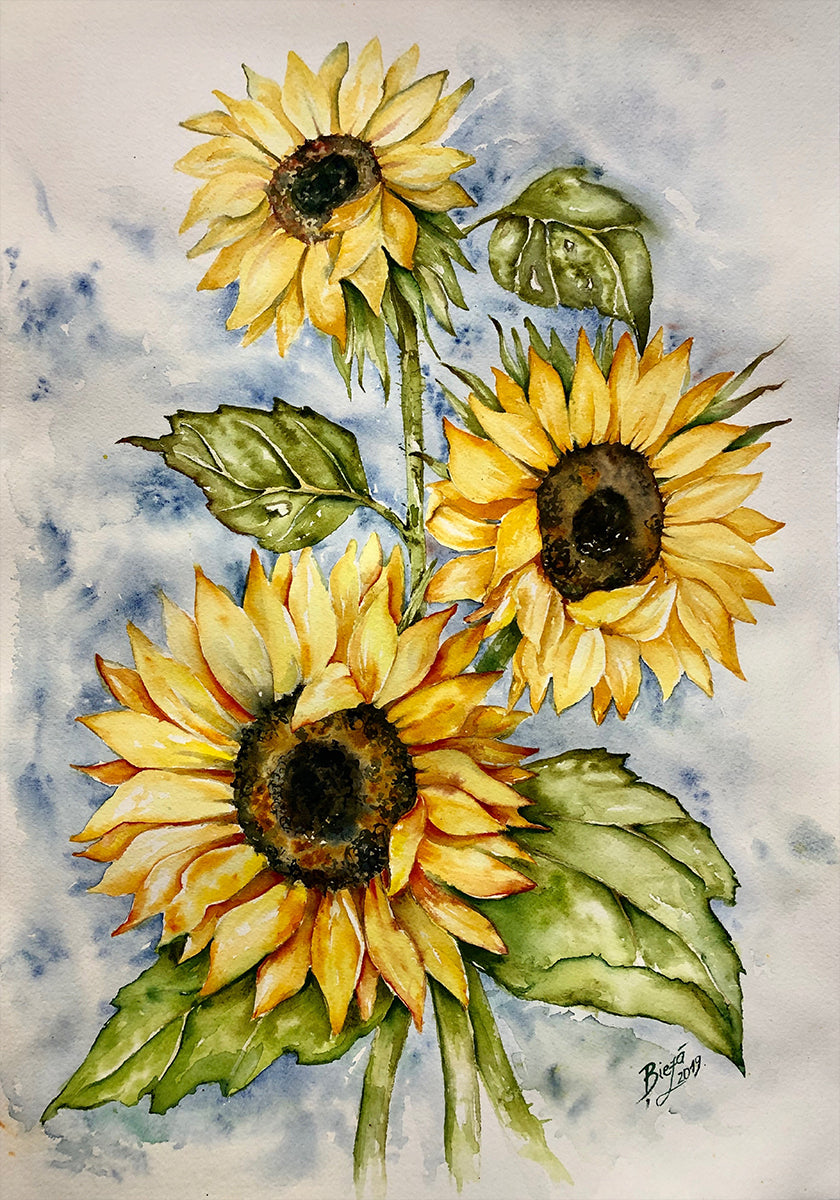 Zonnebloemen