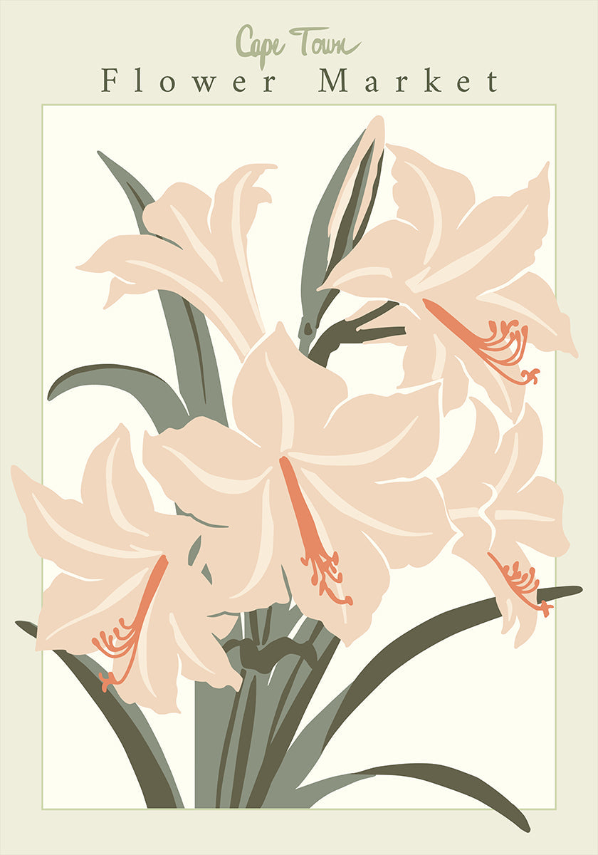 Bloemenmarkt Cap Town Amaryllis Poster