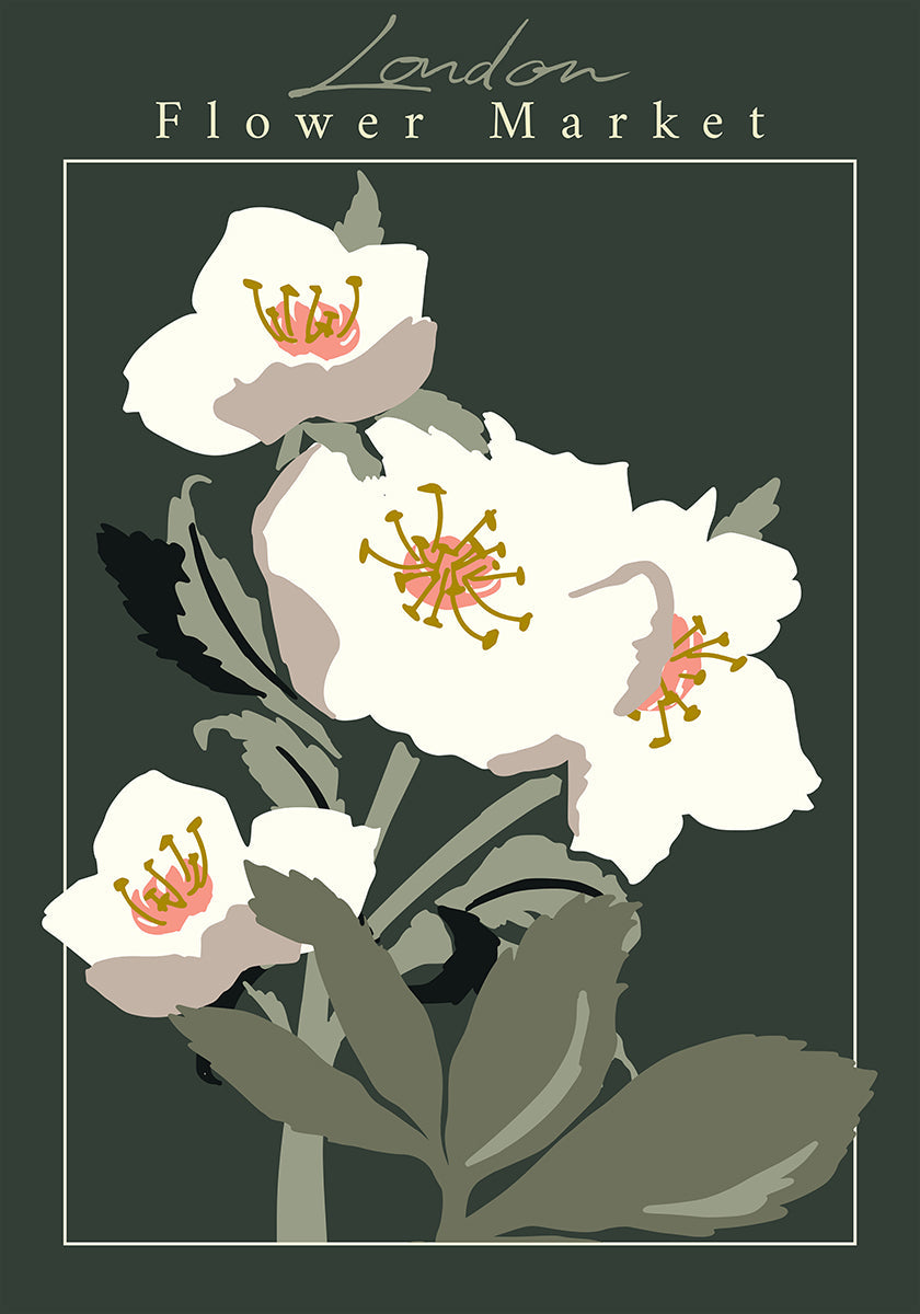 Bloemenmarkt Londen Helleborus Poster