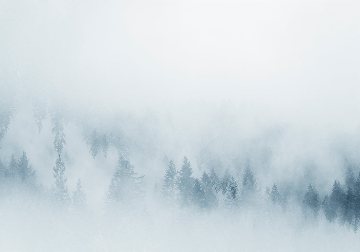 Mistige dennenposter