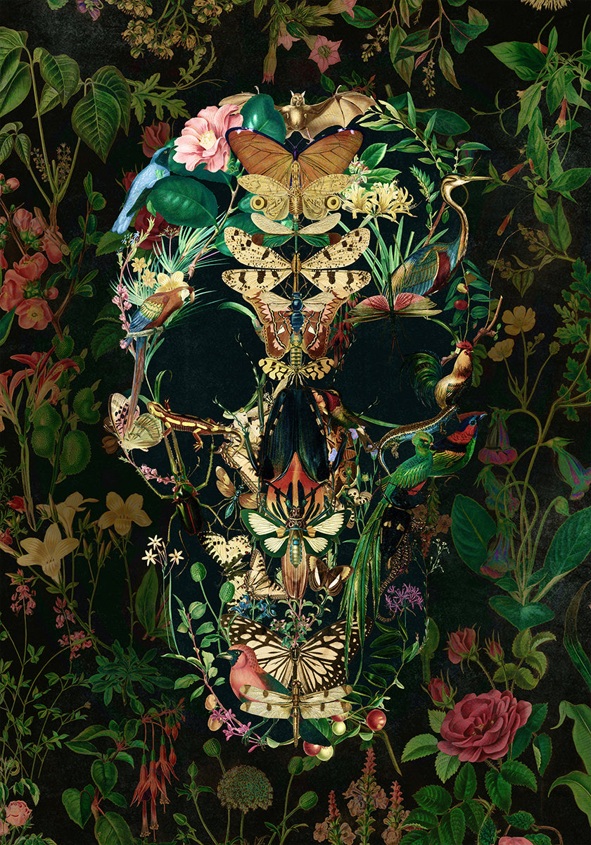 Papillon schedel poster