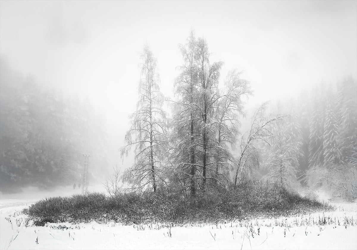 Winter in de bergposter