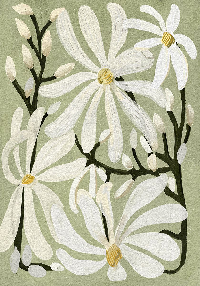 Ster Magnolia Florals op salie achtergrond poster