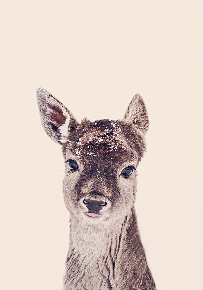 Fawn Rosé Beige Plakat