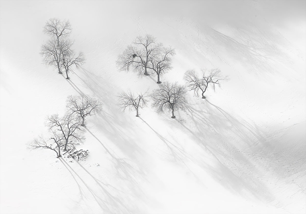 Winterdroom - een stille balletposter