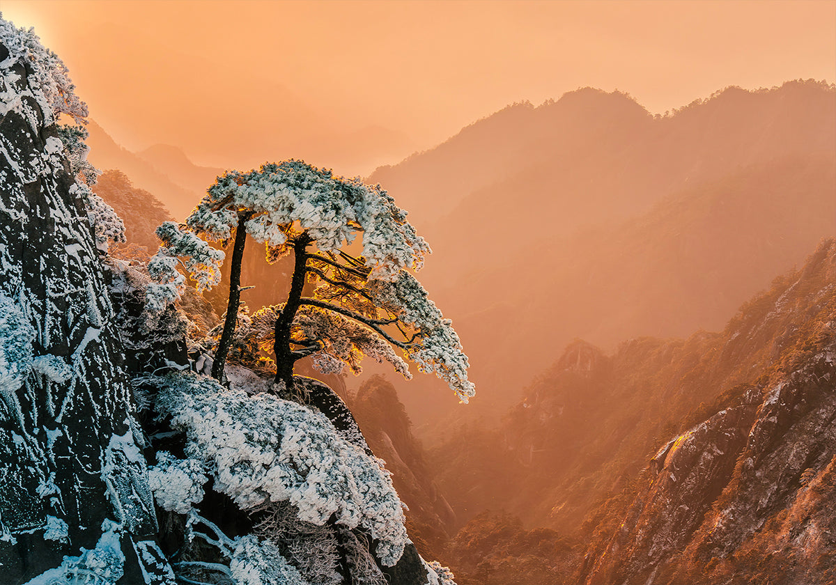 Veerkracht op de Edge-poster