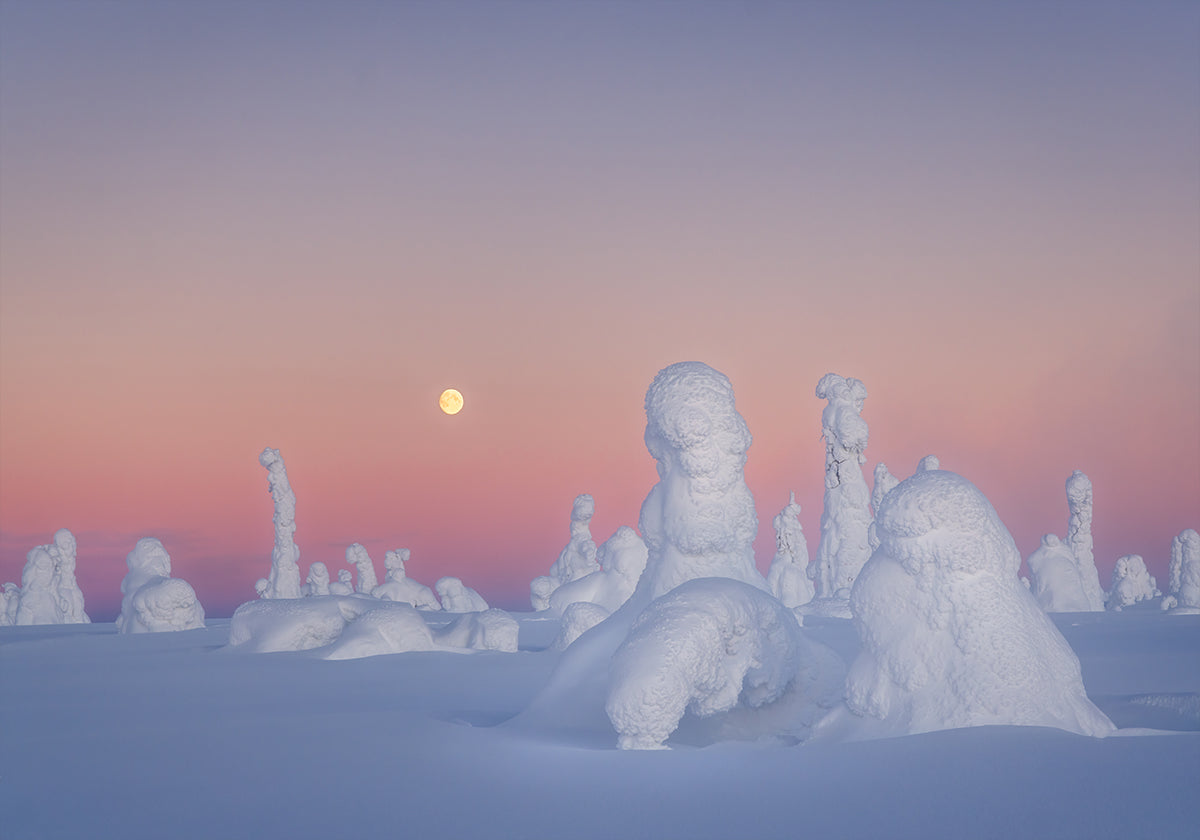 Dramaposter van Shakespeare