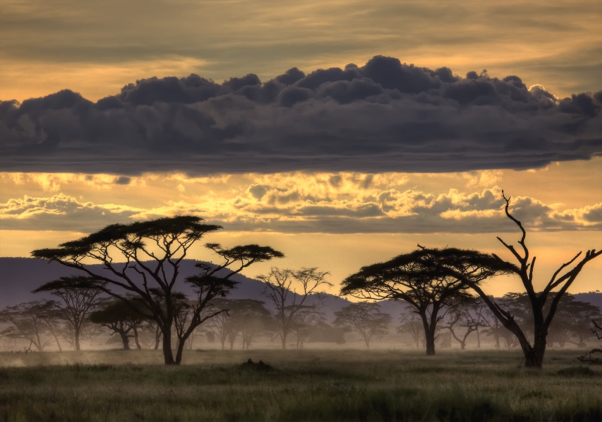 Goedenavond Tanzania