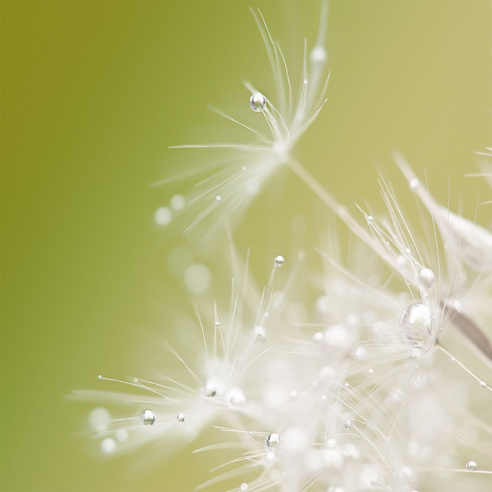 Groene affiche