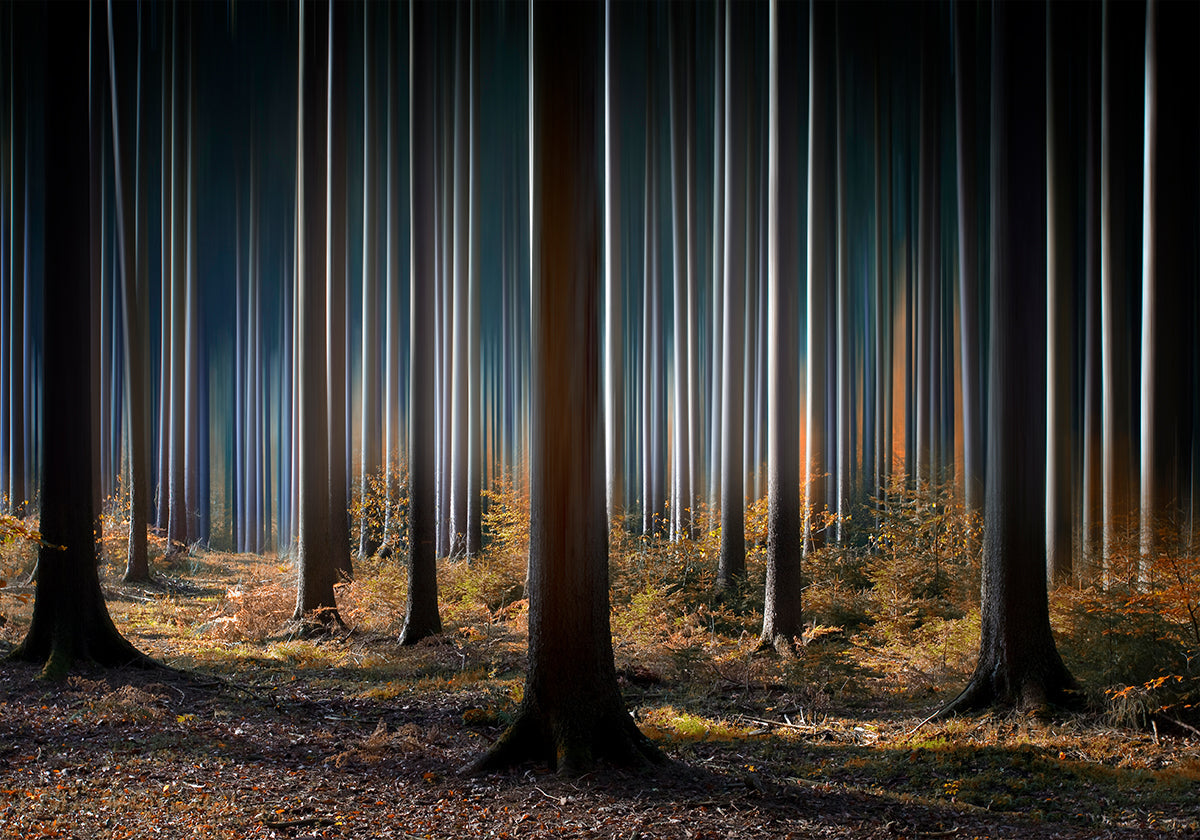 Mystiek hout