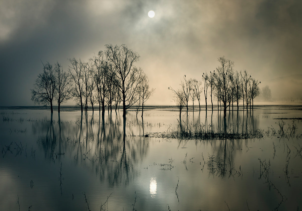 Het geheim van het meer