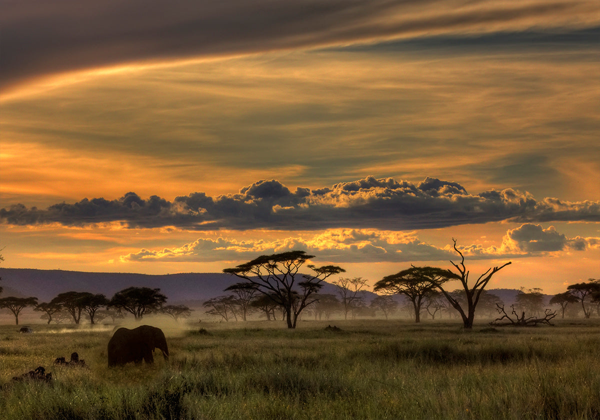 Afrika-poster