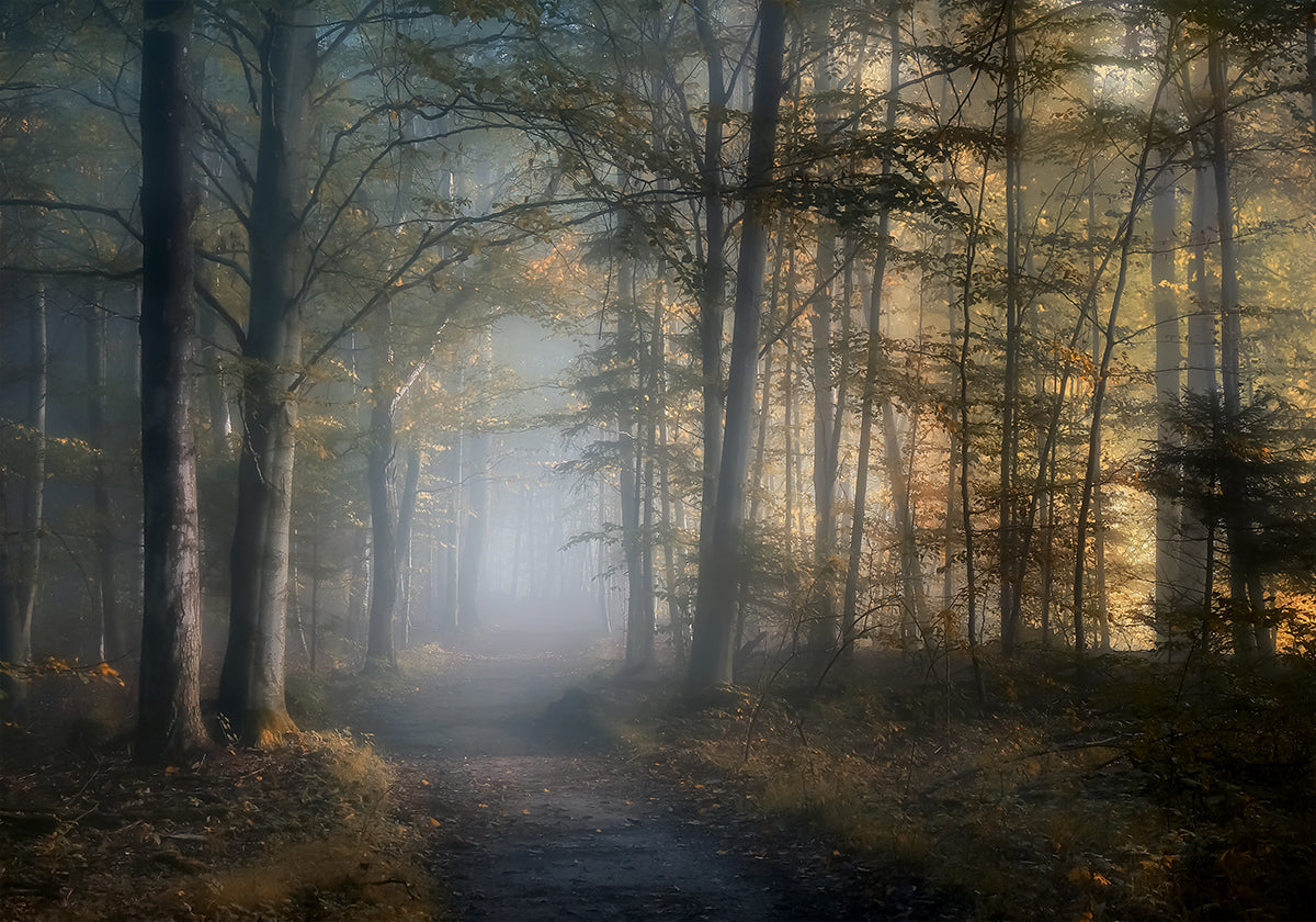 herfst symfonie Poster