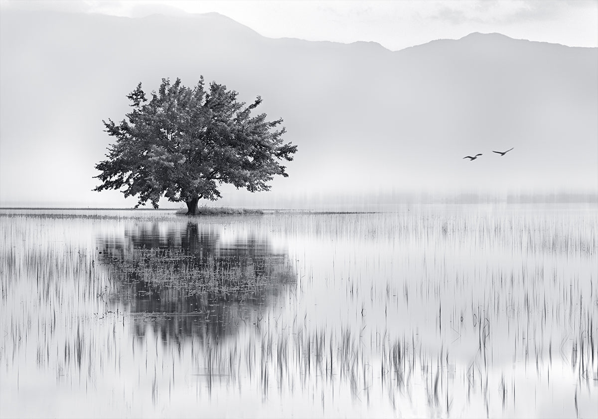 Lente spiegel