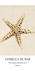 Estrella De Mar (NEW) - Posterbox