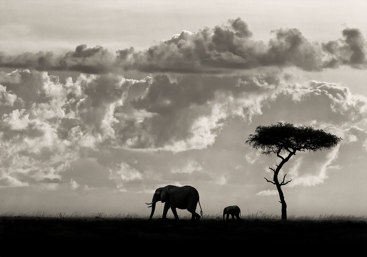 Silhouetten van Mara