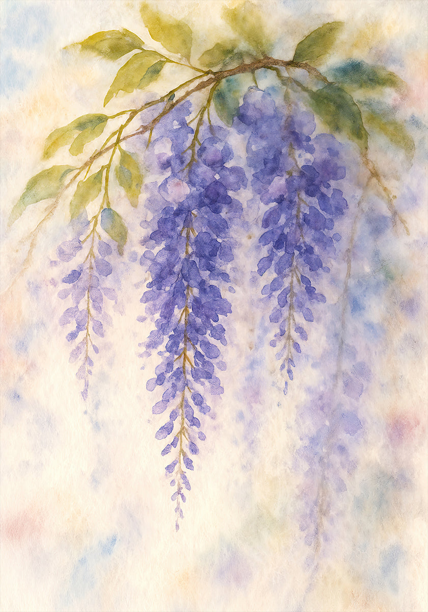 Hanging Wisteria In Soft Pastel Colours Plakat - Posterbox