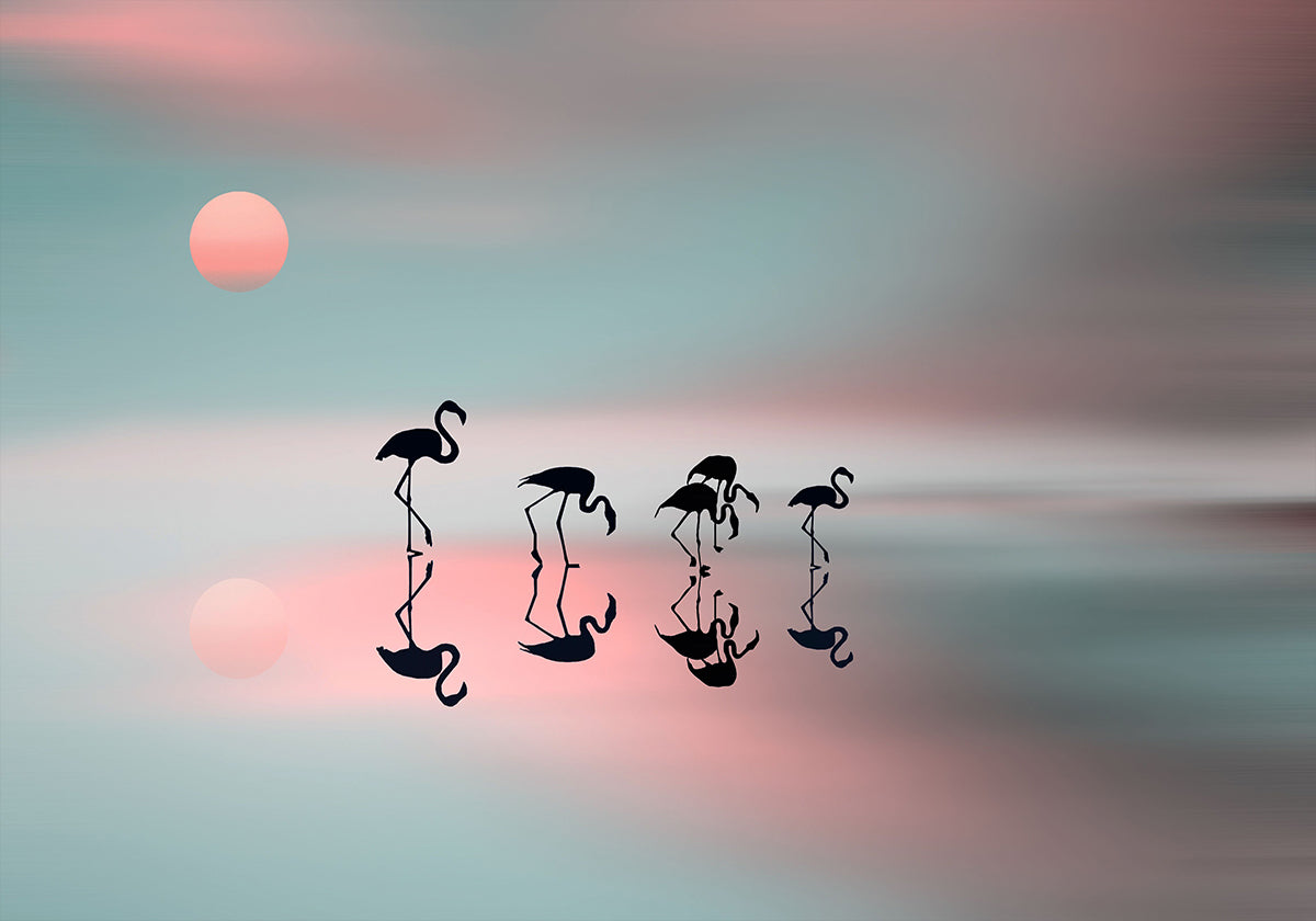 Familie flamingo's. Poster