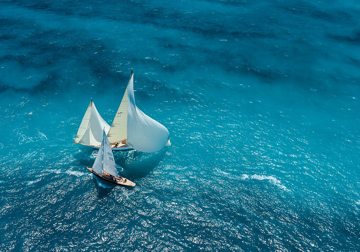 Croisement blauw