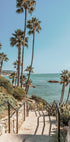 California Coastal Path Plakat - Posterbox.dk
