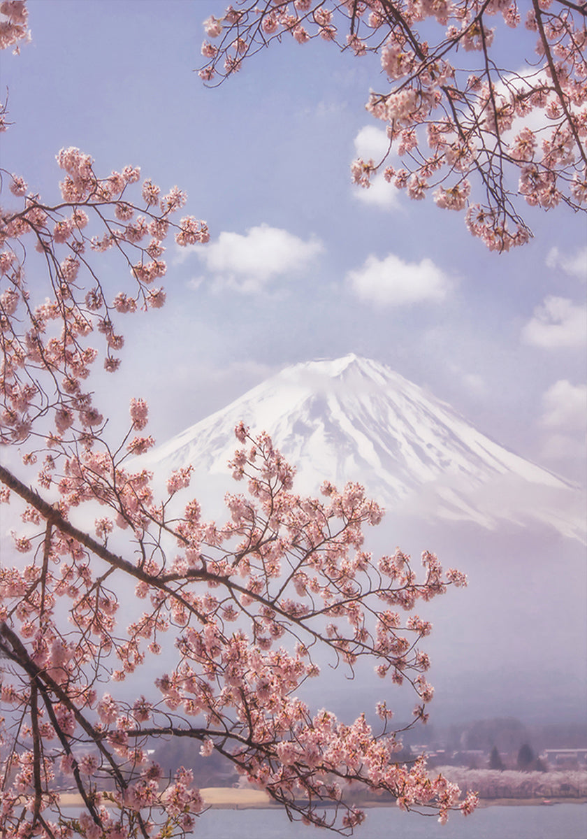 Mt.Fuji in de kersenbloesemposter