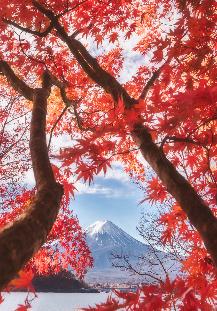 Mt.fuji is in de herfstbladeren Poster