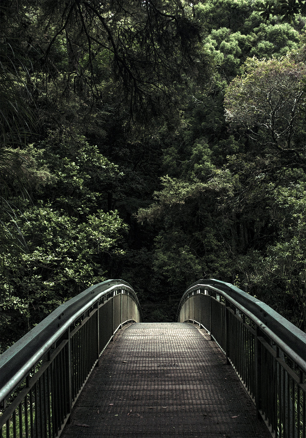 Poster Bosoversteek - Posterbox.dk