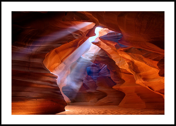 Pure Photodelight 2-poster