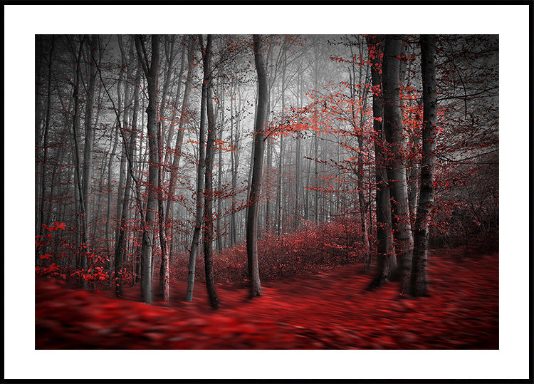 Bloedige rivierposter