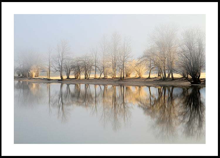 Januari ochtendposter