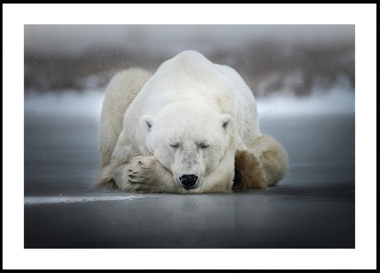 Alleen dromen Poster