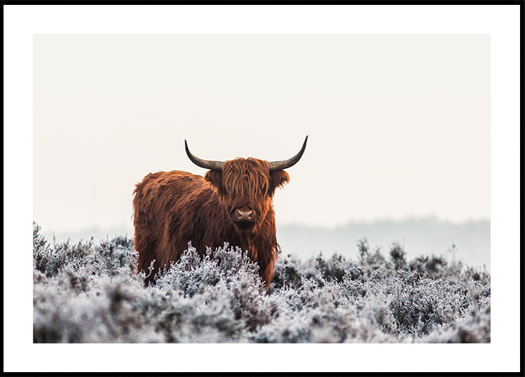 Hooglander-poster