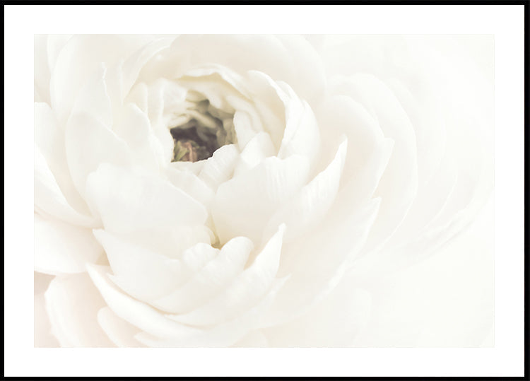 Witte bloemposter
