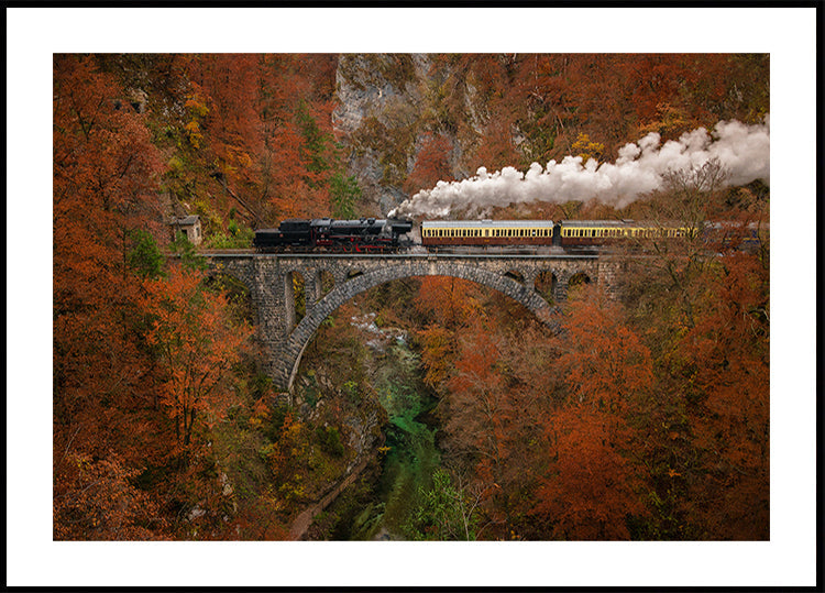 Museumtreinposter
