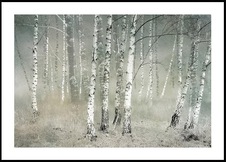 Ochtendstilte Poster