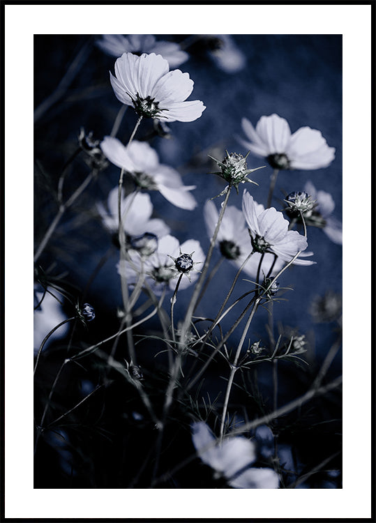 Wilde bloemen 10