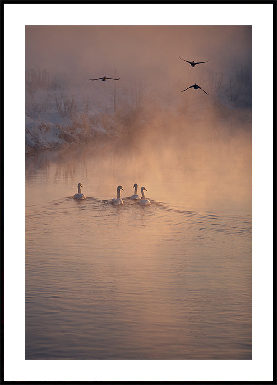 Waar de mist de poster niet bereikte
