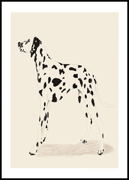 Pandc Dalmatische poster