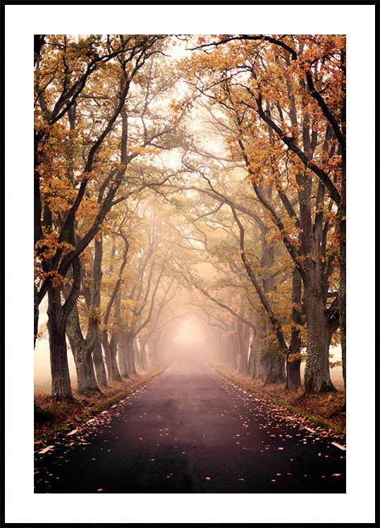 Herfst Avenue-poster