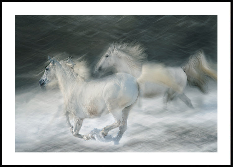 galop in een duelposter