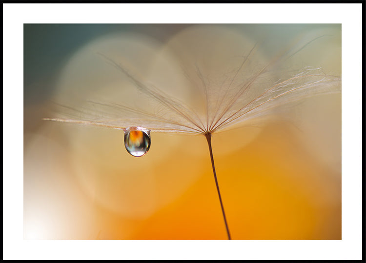 Kleine nachtmuziek...