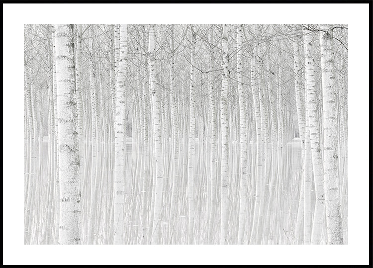 Bomen