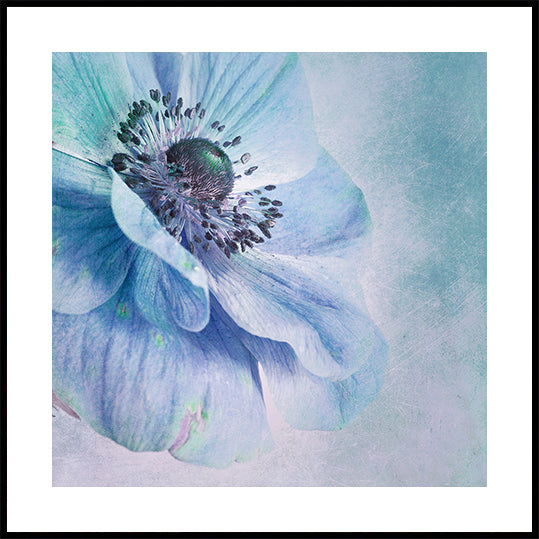 Tinten blauw-poster