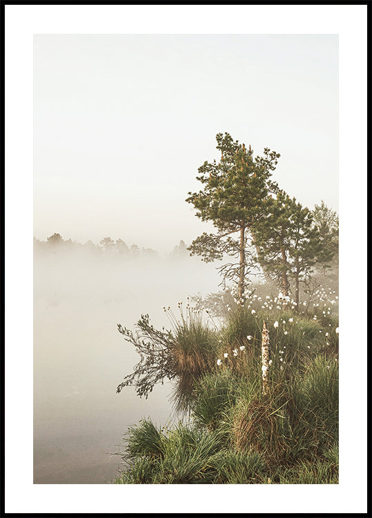 Foggy Summer Morning Plakat - Posterbox.dk
