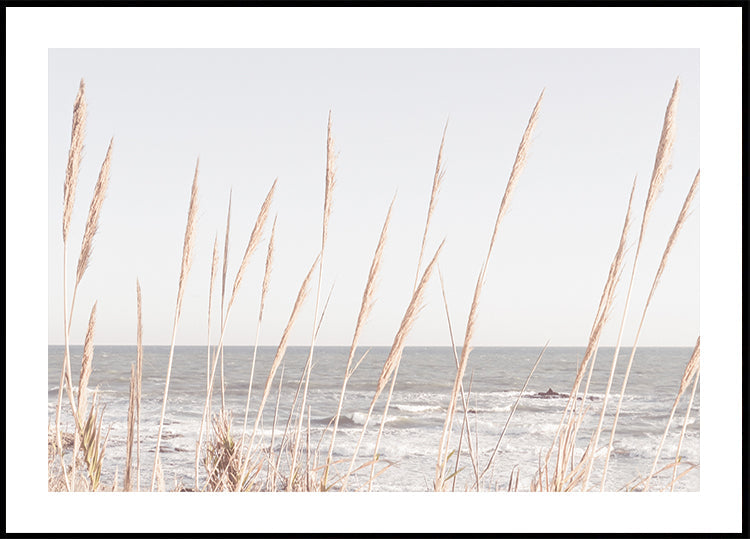 Strand_Vass_002-poster