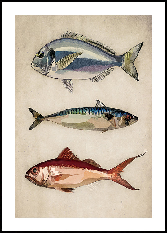 Trio van het oceaanleven