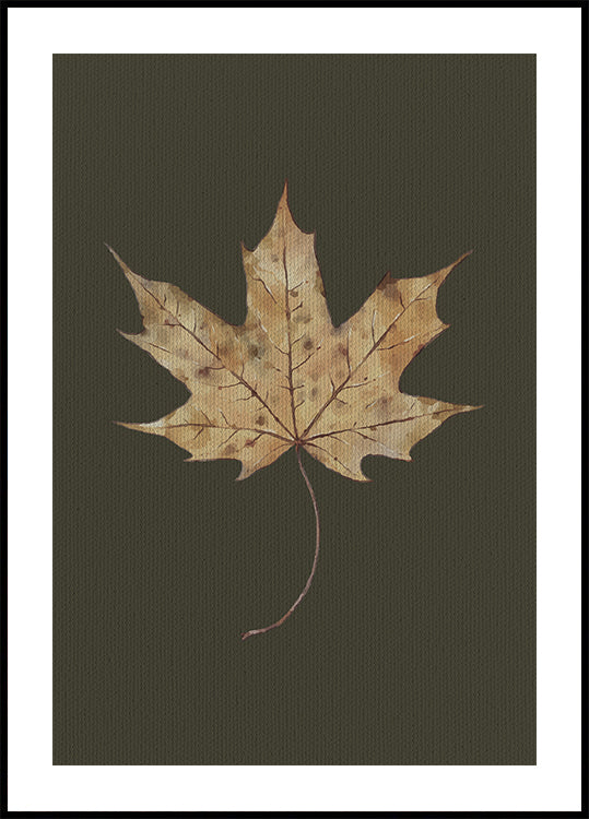 Herfst Maple Leaf aquarel Poster